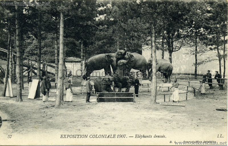 1907 Exposition Coloniale Paris, Bois de Vincennes Human ~ Bois De Vincennes Paris 1907 Exposition Coloniale Paris, Bois de Vincennes Human ~ Bois De Vincennes Paris